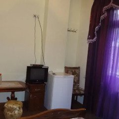 Отель Ной 3* Стандартный номер с разными типами кроватей фото 3
