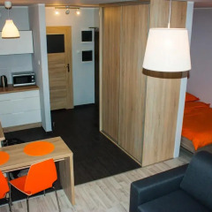 Отель Studio Pionier Польша, Вроцлав - отзывы, цены и фото номеров - забронировать отель Studio Pionier онлайн спа