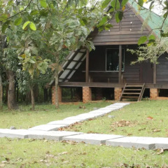 Отель Nature Lodge 2* Бунгало с различными типами кроватей фото 11