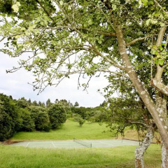 Отель Apartamentos Turísticos Finca Las Nieves спортивное сооружение