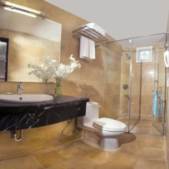 Aristo Saigon Hotel 4* Номер Делюкс с различными типами кроватей фото 5