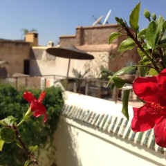 Отель Riad le Coq Fou фото 13