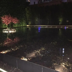 Metropolo Classiq Shanghai Jing'an Temple Hotel фото 4
