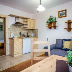 Отель Aparthotel Pod Nosalem Закопане в номере