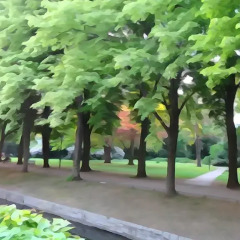 Отель City Centre Green Luxury Room