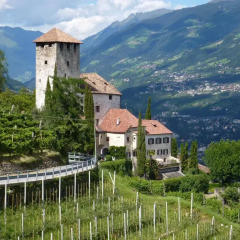 Отель Ferienhaus Aronia Италия, Чермес - отзывы, цены и фото номеров - забронировать отель Ferienhaus Aronia онлайн