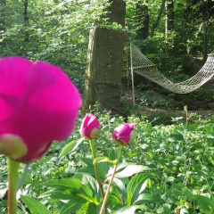 Отель Im Sonnenbühl детские мероприятия