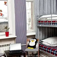 Гостиница 3 Penguins Hostel at Petrovsky Boulevard в Москве 5 отзывов об отеле, цены и фото номеров - забронировать гостиницу 3 Penguins Hostel at Petrovsky Boulevard онлайн Москва питание