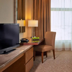 Отель Al Ghurair Rayhaan by Rotana Стандартный номер с двуспальной кроватью фото 10