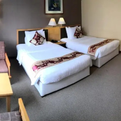 Mon Regency Hotel 4* Номер Делюкс с различными типами кроватей фото 20