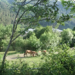 Отель Getik Bed And Breakfast Севан фото 10
