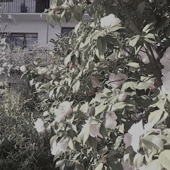 Отель B&B Casa Passito Италия, Шампорше - отзывы, цены и фото номеров - забронировать отель B&B Casa Passito онлайн фото 4