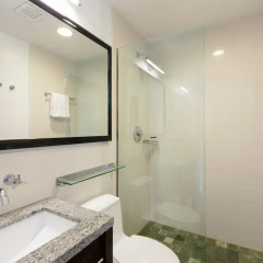 Отель Marriott Vacation Club Pulse, New York City США, Нью-Йорк - отзывы, цены и фото номеров - забронировать отель Marriott Vacation Club Pulse, New York City онлайн ванная
