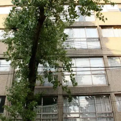 Отель Suites del Carmen - Wisconsin Мексика, Мехико - отзывы, цены и фото номеров - забронировать отель Suites del Carmen - Wisconsin онлайн парковка