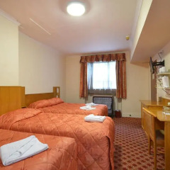 Seymour Hotel 2* Стандартный номер с различными типами кроватей фото 17