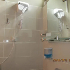 Отель Guest House Lion ванная