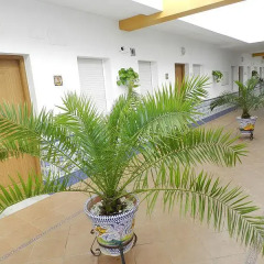 Отель Apartamentos Conil Alquila Испания, Кониль-де-ла-Фронтера - отзывы, цены и фото номеров - забронировать отель Apartamentos Conil Alquila онлайн интерьер отеля фото 3