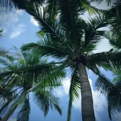 Отель Sheraton Sanya Resort пляж