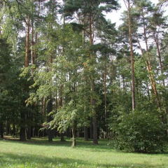 Гостиница Rublevka Inn в Барвихе отзывы, цены и фото номеров - забронировать гостиницу Rublevka Inn онлайн Барвиха фото 3