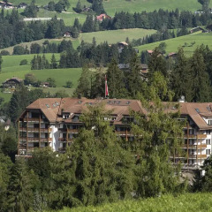 Отель Park Gstaad Швейцария, Гштад - отзывы, цены и фото номеров - забронировать отель Park Gstaad онлайн фото 2