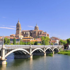 Отель ibis Salamanca фото 3