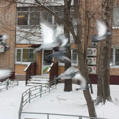 Хостел Лен Инн Люкс