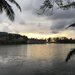 Отель The Allamanda - Unit 1108