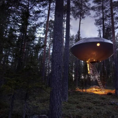 Tree Hotel 5* Стандартный номер с различными типами кроватей фото 8