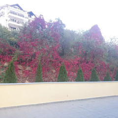 Bona Dea Club Hotel фото 2