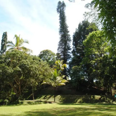 Hotel Tree of Life фото 7
