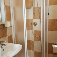 Hotel Delle Camelie 2* Стандартный номер с двуспальной кроватью фото 8