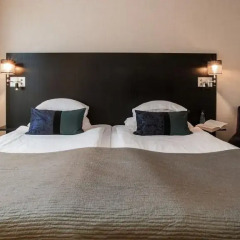 Best Western Plus Time Hotel с домашними животными