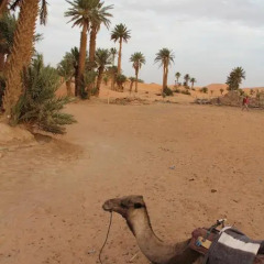 Отель Le Mirage Erg Chebbi Luxury Desert Camp Марокко, Мерзуга - отзывы, цены и фото номеров - забронировать отель Le Mirage Erg Chebbi Luxury Desert Camp онлайн пляж