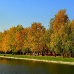 Апартаменты Druzhba Apartment
