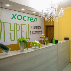 Hostel Ogurets интерьер отеля фото 3
