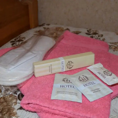 Гостиница Guest house Snezhniy Bars ванная