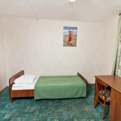 Гостиница Гвардейская 2* Номер Эконом разные типы кроватей фото 12
