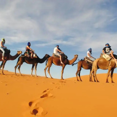 Отель Merzouga Sarah Camp Марокко, Мерзуга - отзывы, цены и фото номеров - забронировать отель Merzouga Sarah Camp онлайн фитнесс-зал