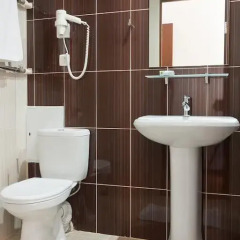 Парк-отель Надежда 3* Стандартный номер разные типы кроватей фото 4