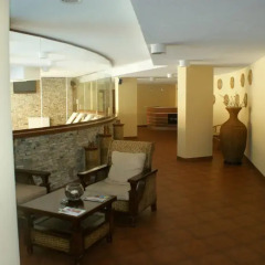 Отель Vihren Palace Ski & SPA гостиничный бар