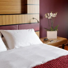Radisson Blu Hotel Nice 4* Стандартный номер фото 11