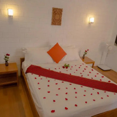 Teak Wood Hotel 3* Стандартный номер с различными типами кроватей фото 4