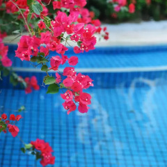 Отель Palm Beach Resort&Spa Sanya 3* Люкс с различными типами кроватей фото 4
