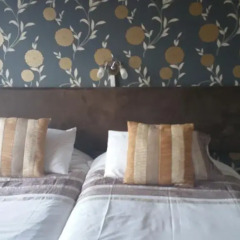 Отель Brentwood Guest House 4* Стандартный номер с 2 отдельными кроватями фото 6