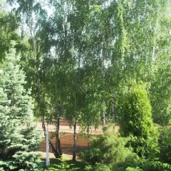 Отель Zajazd Sportowy фото 5