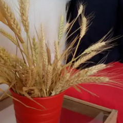 Отель Coral Болгария, Поморие - отзывы, цены и фото номеров - забронировать отель Coral онлайн бассейн