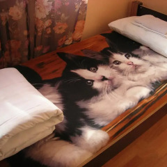 Elizabeth's Youth Hostel Кровать в общем номере с двухъярусной кроватью фото 14