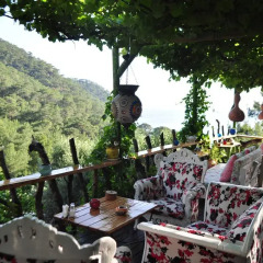 Отель Turan Hill Lounge Патара с домашними животными