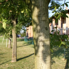 Отель Giardino di Mia Кальдерара-ди-Рено детские мероприятия