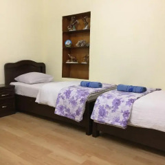Family Hotel Mountain Scream Тбилиси удобства в номере